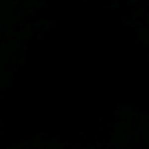 Meet your Posher, Briannna